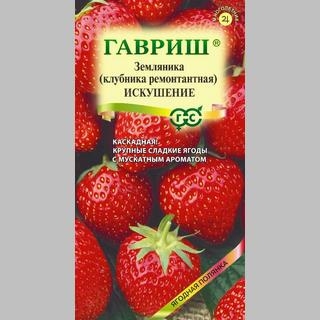 Земляника Искушение (Клубника) ампельная