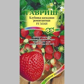 Земляника Элан F1 (Клубника)