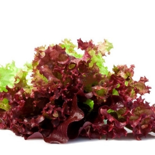 Салат Обжорка