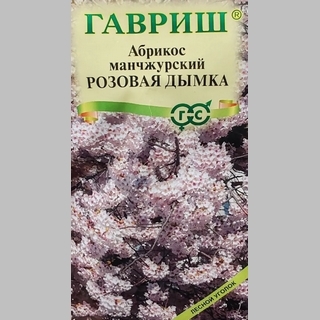 Абрикос Розовая дымка (манчжурский)