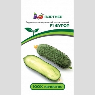 Огурец Фуро F1