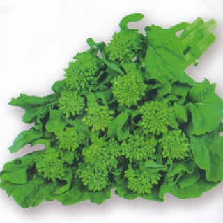 Капуста Ханана Канзаши F1