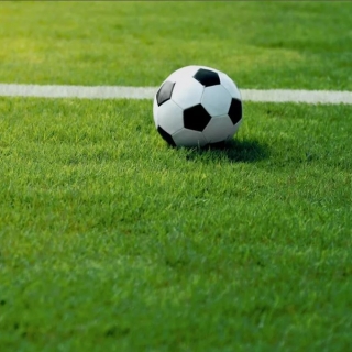 Газонная трава SPORT смесь для спортивной площадки 1кг (большой пакет)