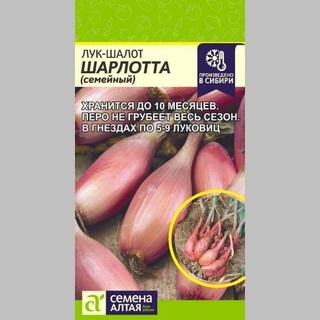 Лук Шарлотта шалот