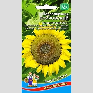 Подсолнечник Покровский
