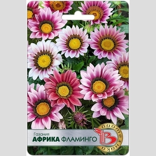 Газания (гацания) Африка Фламинго