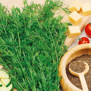 Тмин Душистый (овощной)