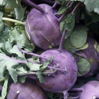 Капуста Сиреневый туман