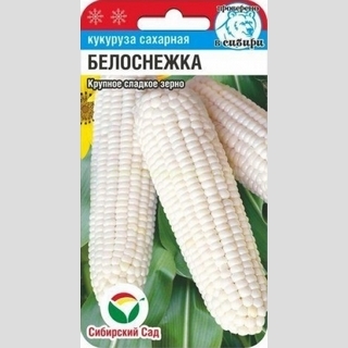 Кукуруза Белоснежка
