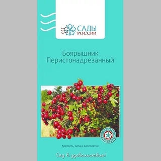 Боярышник перистонадрезанный