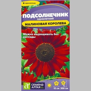 Подсолнечник Малиновая Королева