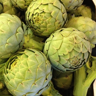 Артишок Султан