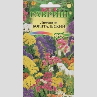 Лимониум Борнтальский (выемчатый) смесь