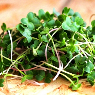 Микрозелень Кольраби микс