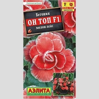 Бегония Он Топ F1 Мелон Лейс