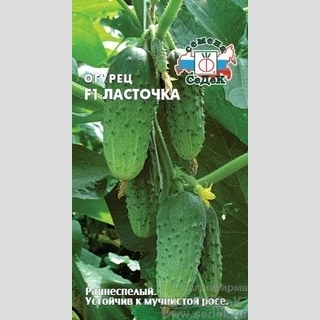 Огурец Ласточка F1