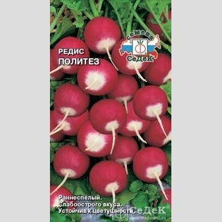 Редис Политез