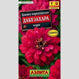Цинния Дабл Захара Черри