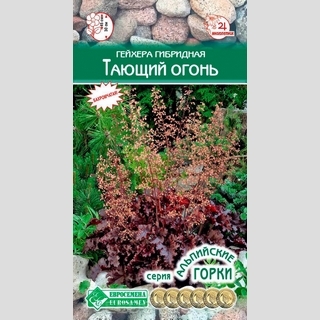 Гейхера Тающий Огонь (гибридная)