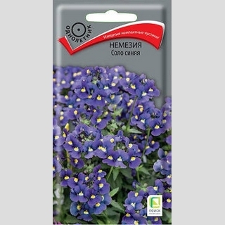Немезия Соло синяя