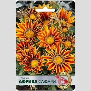 Газания (гацания) Африка Сафари