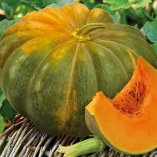 Тыква Мускадэ Агро