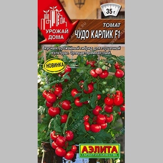Томат Чудо карлик F1