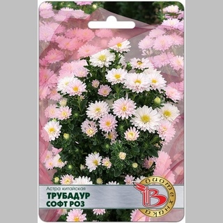 Астра Трубадур Софт Роз