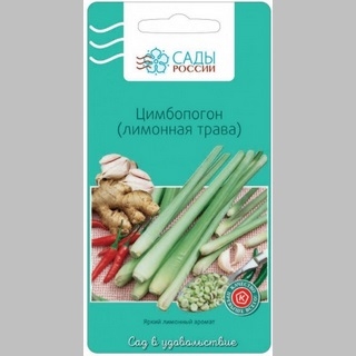 Цимбопогон (лимонная трава)