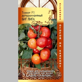Томат Биг Лига F1 (Огород на балконе!)