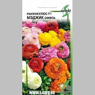 Ранункулус Мэджик F1 cмесь