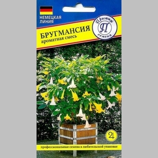 Бругмансия Ароматная смесь
