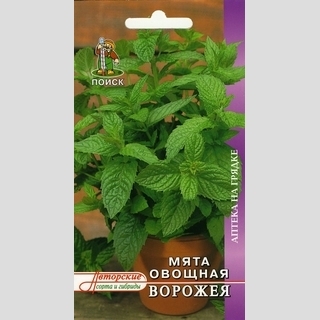 Мята Ворожея (овощная)