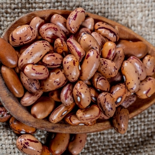 Фасоль Садовод зерновая