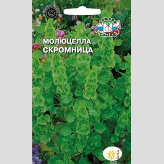 Молюцелла Скромница (гладкая)