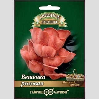 Грибы - Вешенка Розовая на древесной палочке 12шт (большой пакет)