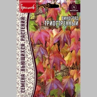 Виноград Триостренный (большой пакет)