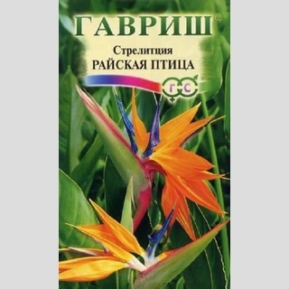 Стрелиция Райская птица