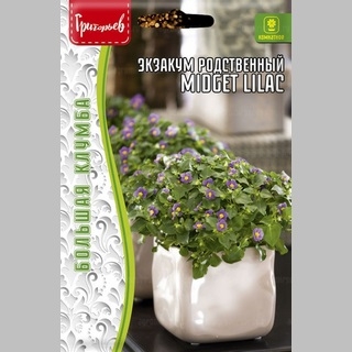 Экзакум Midget Lilac родственный (большой пакет)