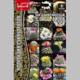 Кактус карликовый Смесь Видов (большой пакет)