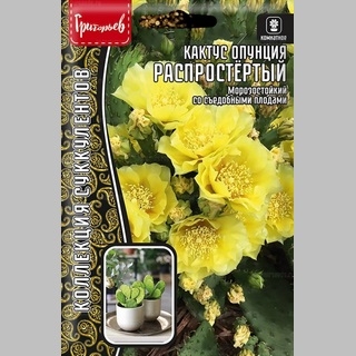 Кактус опунция Распростёртый (большой пакет)