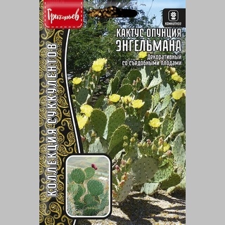 Кактус опунция Энгельмана (большой пакет)