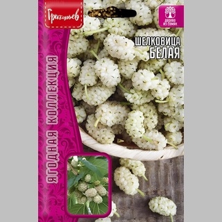 Шелковица Белая (большой пакет)