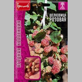 Шелковица Розовая (большой пакет)