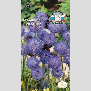 Букашник Лукашка (Ясион)