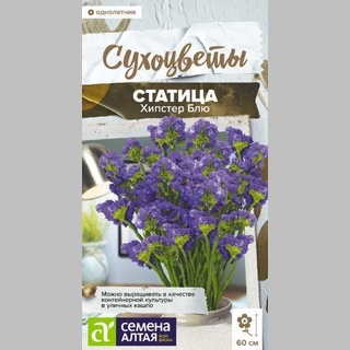 Статица Хипстер Блю