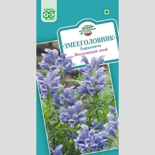 Змееголовник Воздушный змей (Харкевича)