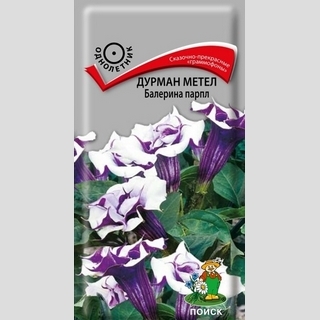 Дурман Балерина Парпл