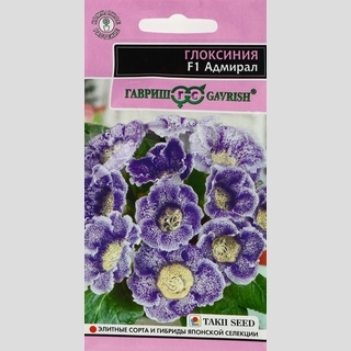 Глоксиния Адмирал