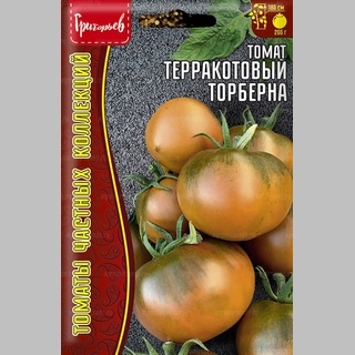 Томат Терракотовый Торберна (Thorburn's Terra Cotta) (большой пакет)